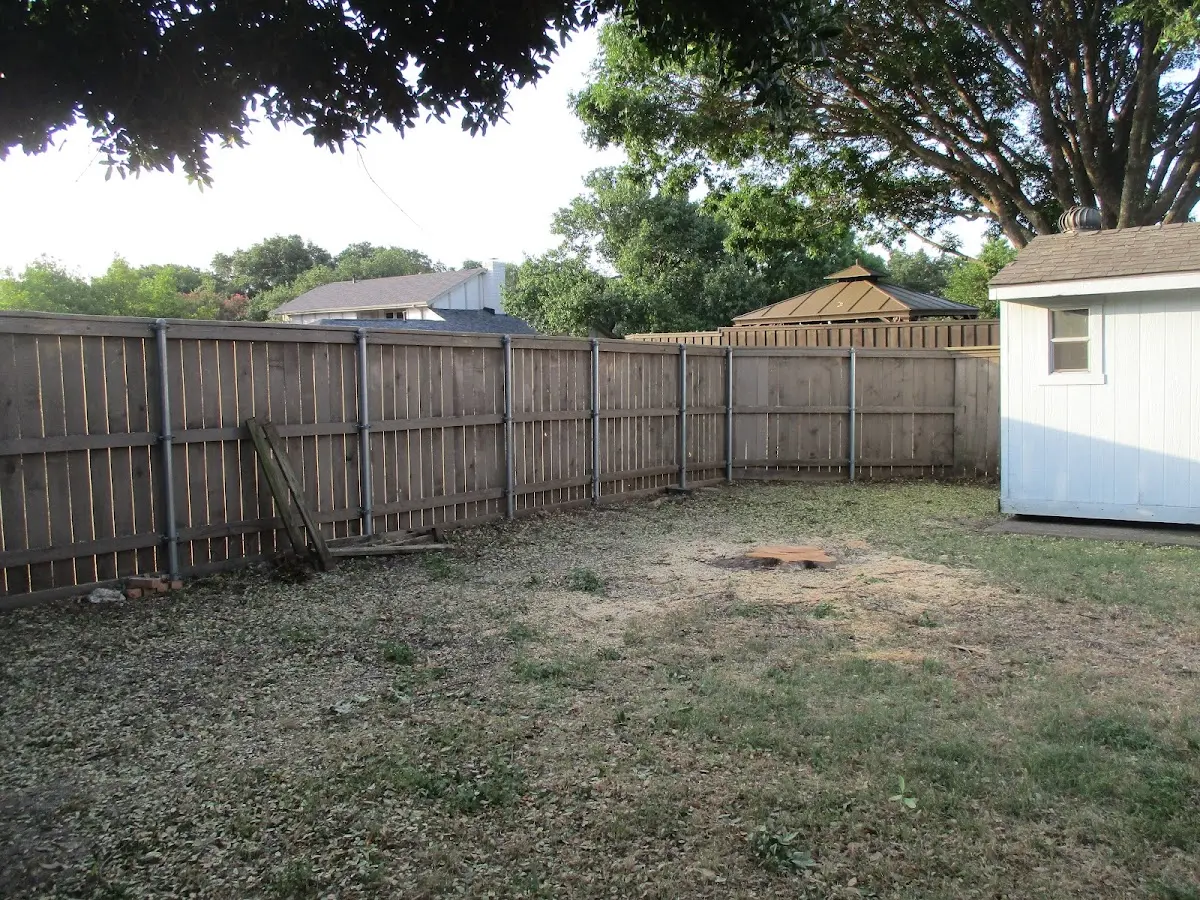Cleared yard after professional tree removal in Freedom